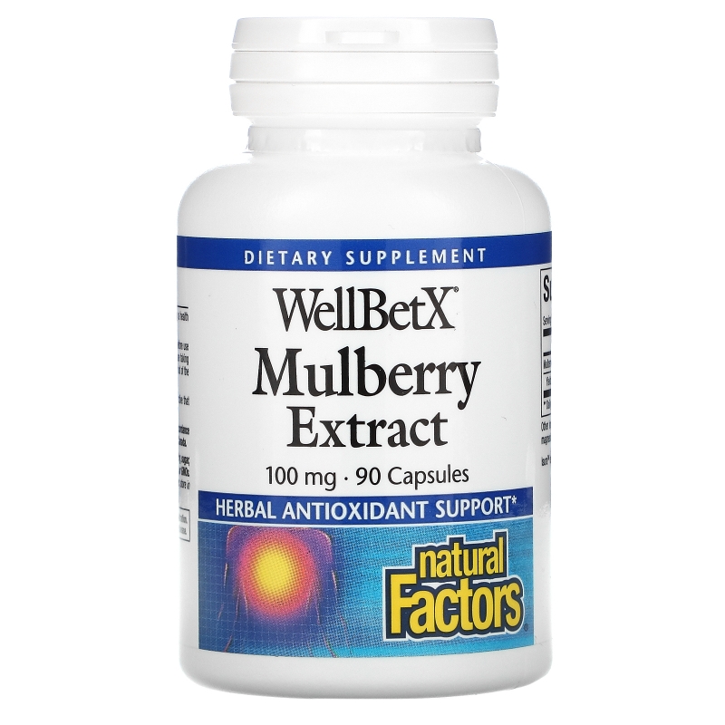 Natural Factors, WellBetX, мультиягодный экстракт, 100 мг, 90 капсул